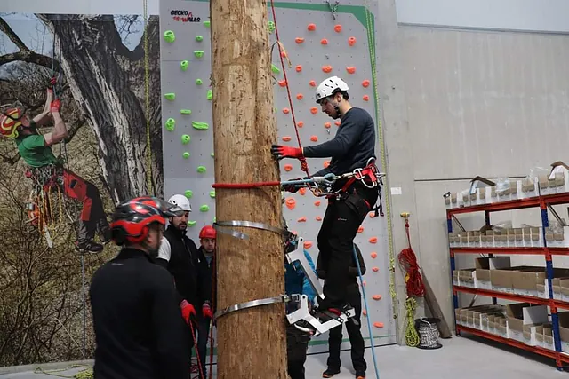 Arboricultura Gaia formación